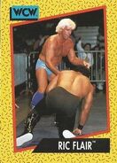 1991 WCW (Impel) Ric Flair 38