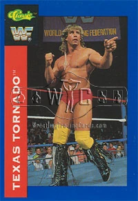 1991 WWF CLASSIQUE Cartes à Collectionner The Modèle Rick Martel #41