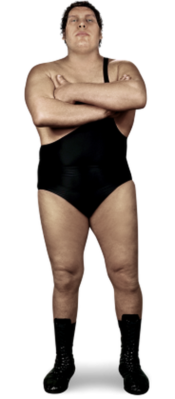 André the Giant | Pro Wrestling | Fandom