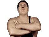 André the Giant