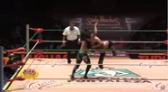 CMLL Informa (May 6, 2015) 23.jpg (76 KB)