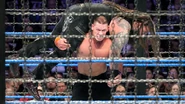 Elimination Chamber 2017.62.jpg (135 KB)