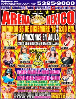 Infierno en el Ring 2016