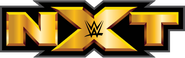 NXT Logo 2 2