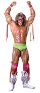 Ultimatewarrior 2 full