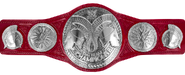 WWE Raw Tag Team Championship