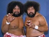 Wild Samoans