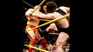 NXT 213 Photo 07.jpg (28 KB)