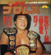 Weekly Pro Wrestling No. 376 August 8, 1990