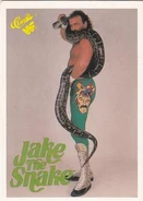 1990 Classic WWF Jake Roberts (No.7)