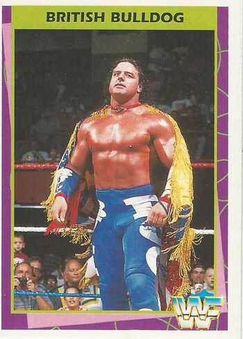 1995 WWF Wrestling Trading Cards (Merlin) British Bulldog 56