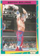 1995 WWF Wrestling Trading Cards (Merlin) British Bulldog 95