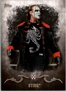 2016 Topps WWE Undisputed Wrestling Cards Sting (No.34)