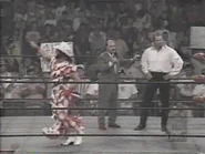 September 18, 1995 Monday Nitro.00021.jpg (25 KB)