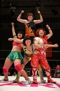 Stardom Gold Star 2