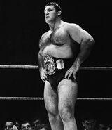 Bruno Sammartino 4