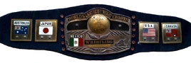 NWA Light heavyweight championship