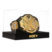 NXT Championship Title Deluxe Display Stand