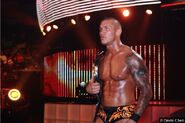 Randy Orton orange