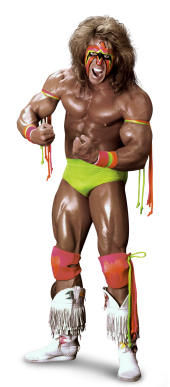 Ric Flair - Arn Anderson - Sid - Barry Windham - Hulk Hogan - Randy Savage - Ultimate Warrior 4 Horsemen Sticker No.6
