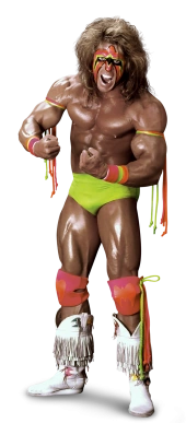 ultimate warrior doll