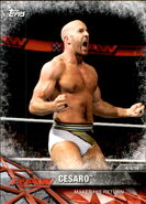 2017 WWE Road to WrestleMania Trading Cards (Topps) Cesaro 72