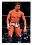 2011 WWE (Topps) Daniel Bryan (No.61)