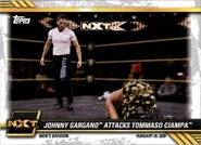 2021 WWE NXT (Topps) Johnny Gargano-Tommaso Ciampa (No.5)