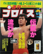 Weekly Pro Wrestling No. 795 June 3, 1997