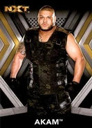 2017 WWE NXT (Topps) Akam (No.2)