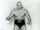 Bob Orton, Sr.