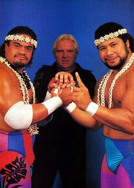 The Islanders
