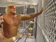 WrestleWar 1991.00046.jpg (24 KB)