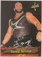 1999 WCW Embossed (Topps) Randy Savage (No.13)