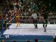 Hulk Hogan The Ultimate Anthology 14