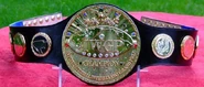 IWGPBelt1.png (541 KB)
