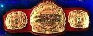 TNA Television Championship (July 2010 - July 2014)