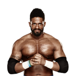 Wwe alumni hotsell