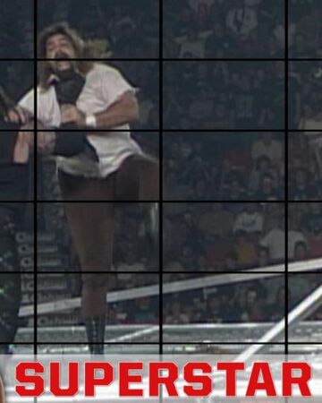 Drew Picks Undertaker Vs Mankind Pro Wrestling Fandom