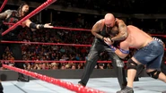 8-28-17 Raw 45.jpg (111 KB)