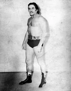 Mario Galento/Image gallery Pro Wrestling Fandom