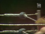 March 24, 1980 MSG.00036.jpg (16 KB)