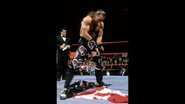 Montreal Screwjob.1.jpg (20 KB)