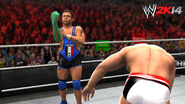 WWE 2K14 Screenshot.117