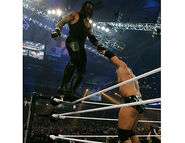 WrestleMania 23.27