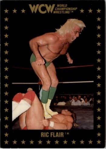 1991 WCW Collectible Trading Cards (Championship Marketing) Ric Flair 12