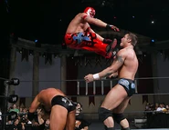 Royal Rumble 2006.13.jpg (38 KB)