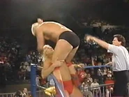 WrestleWar 1991.00015.jpg (18 KB)