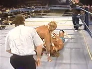 WrestleWar 1991.00032.jpg (23 KB)