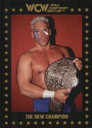 1991 WCW Collectible Trading Cards (Championship Marketing) Sting 22